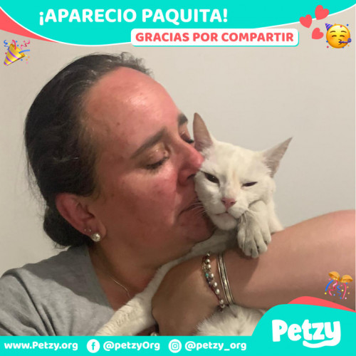 Foto de mascota Paquita