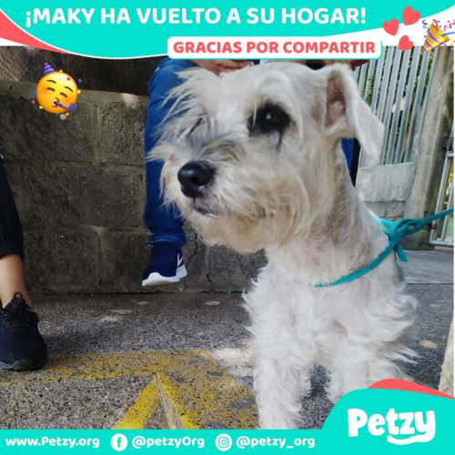 Foto de mascota Maky