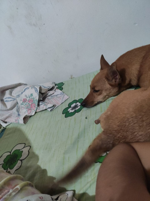 Kensy