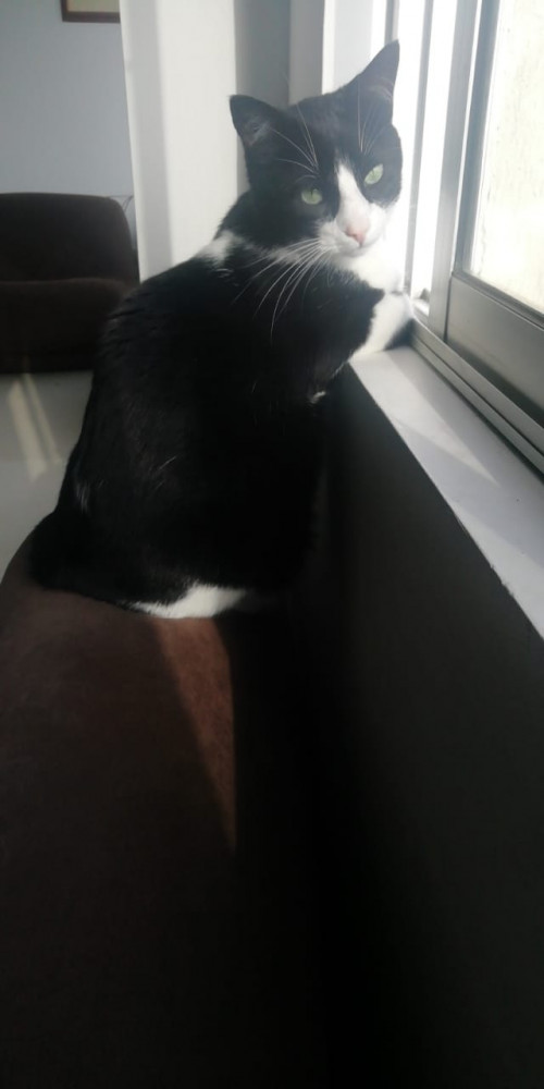 Tom