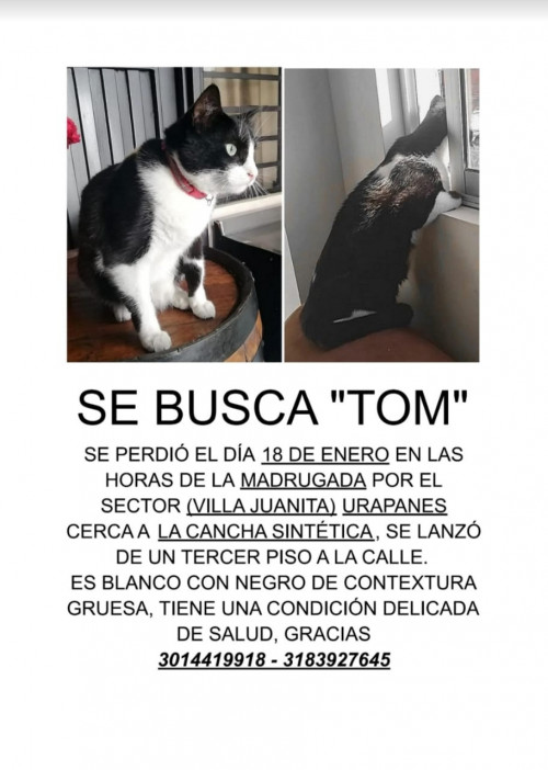 Tom