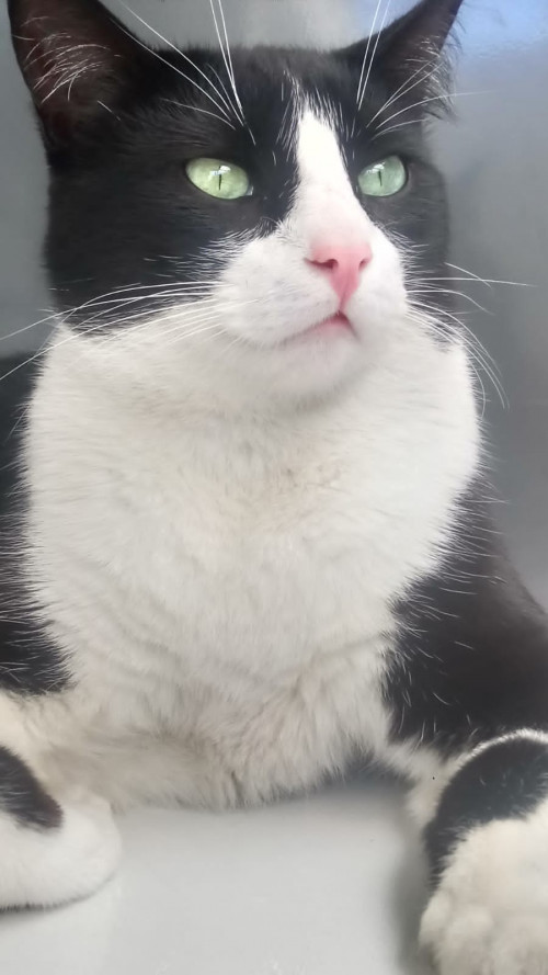 Tom