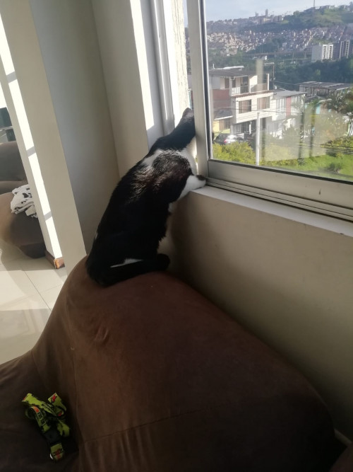 Tom