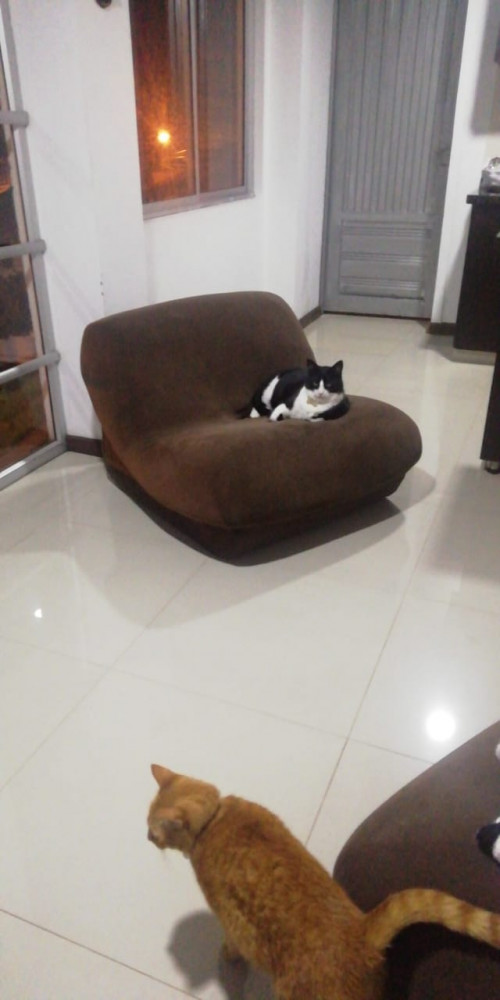 Tom
