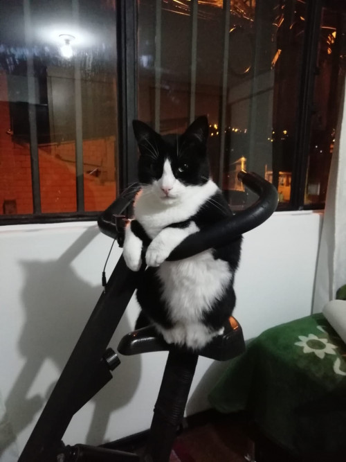 Tom
