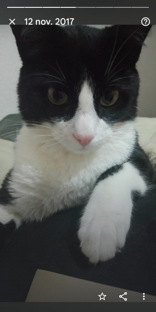 Tom