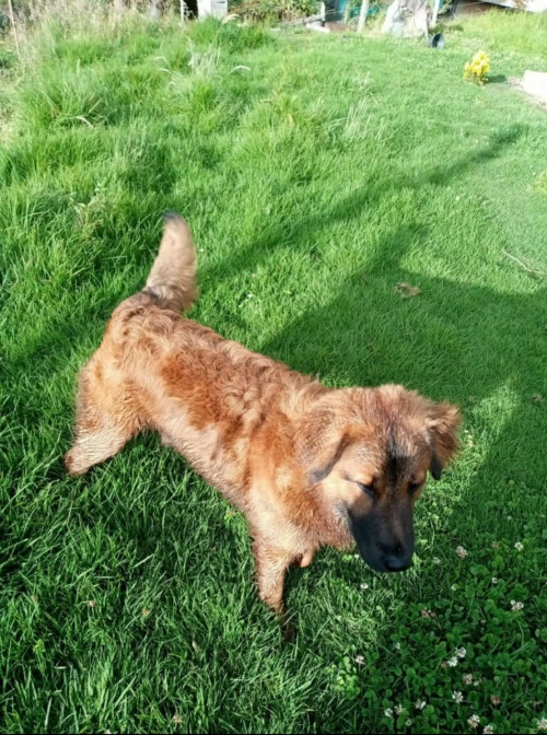 Beily
