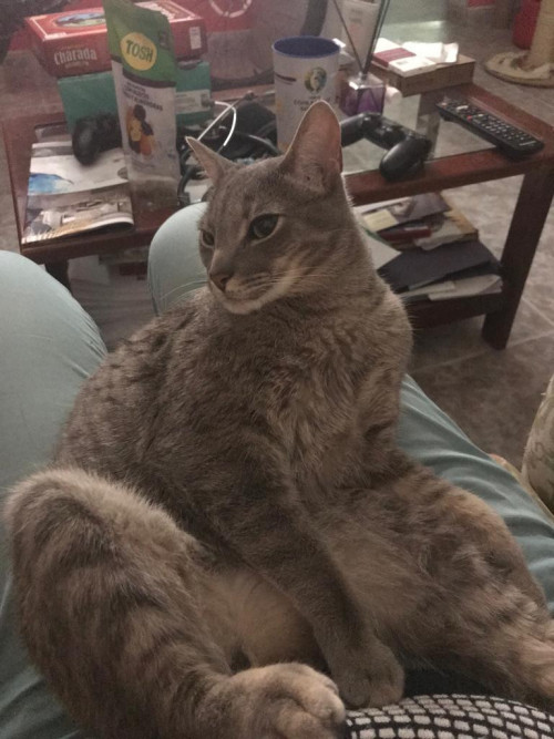 Zeus