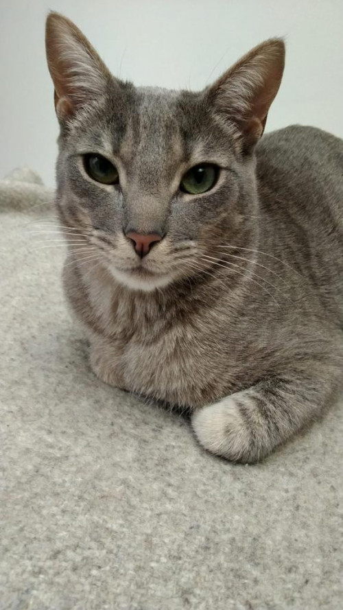 Zeus