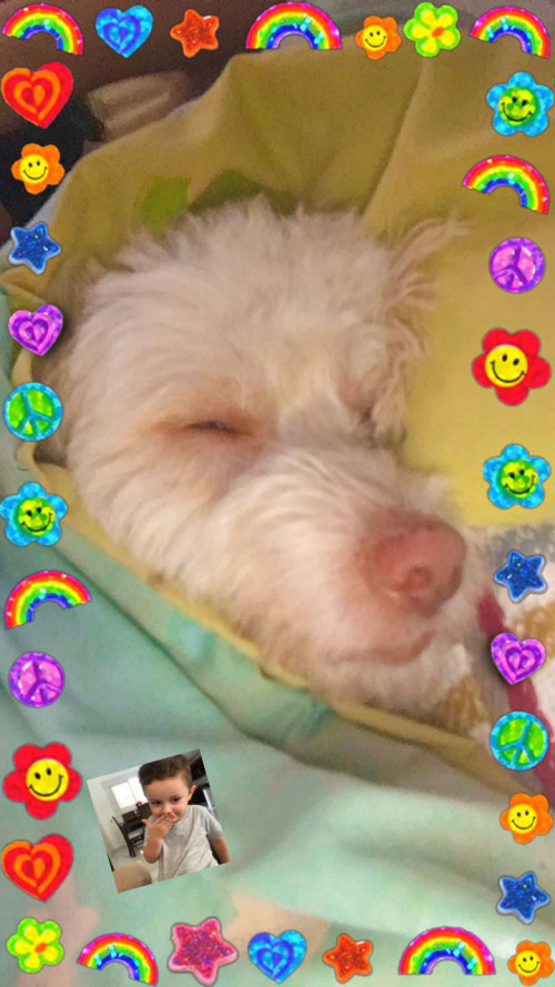 Toño