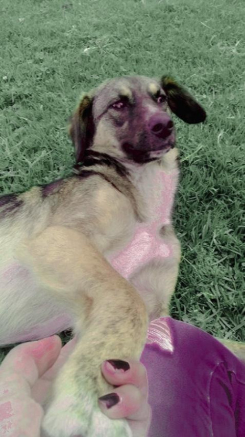 Princesa Kira Corredor Meléndez 