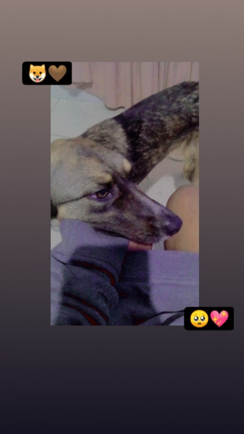 Princesa Kira Corredor Meléndez 