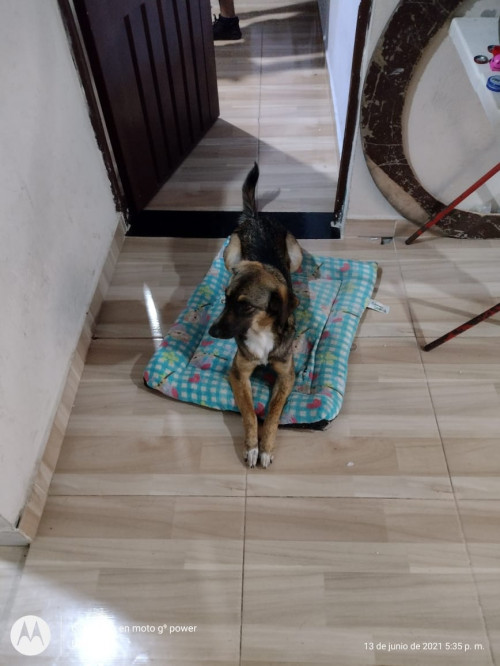 Princesa Kira Corredor Meléndez 