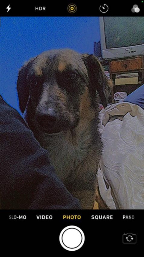 Princesa Kira Corredor Meléndez 