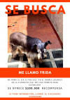 Foto de Frida  en Cali Valle del Cauca #2