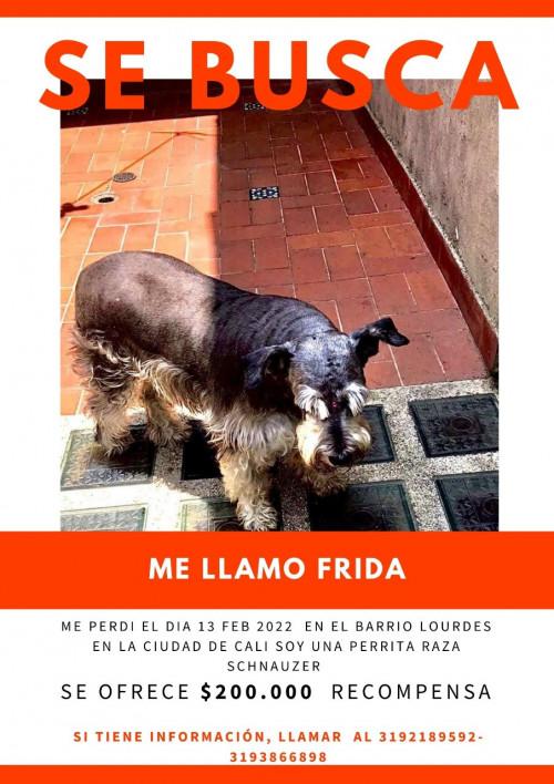 Frida 