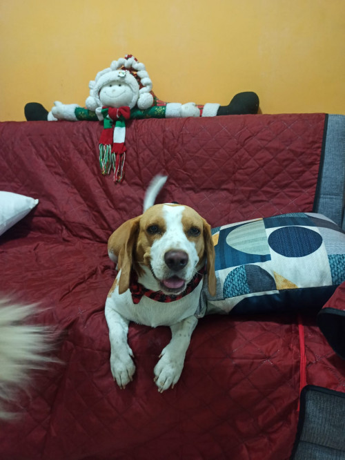 Chloe