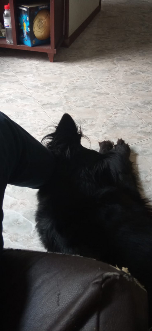 Luna
