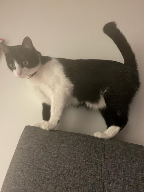 Zoe
