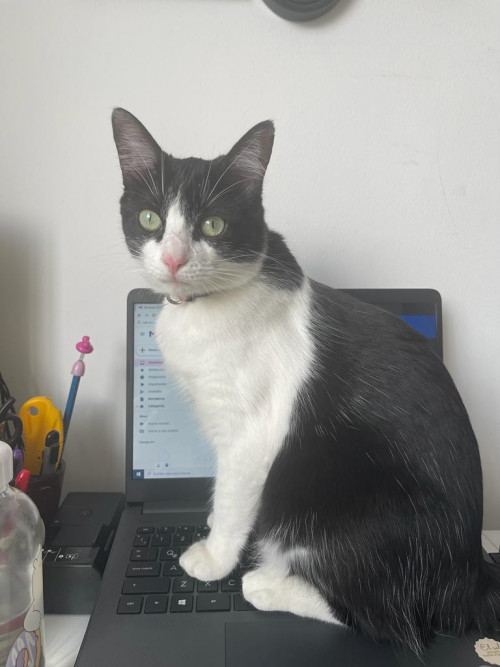 Zoe