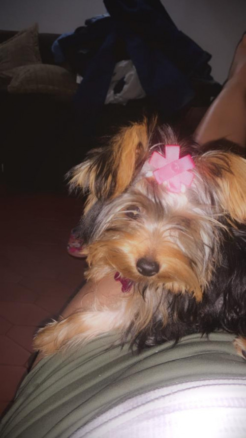 Susy 