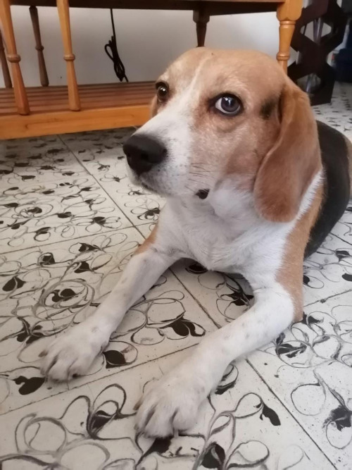 Mateo
