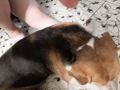 Mateo