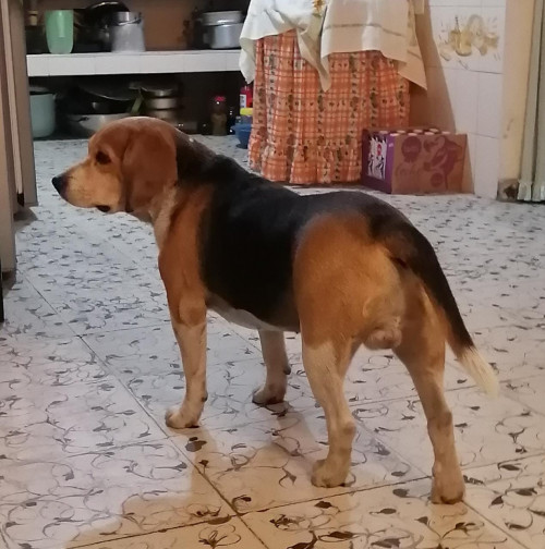 Mateo