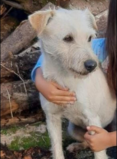 Loky