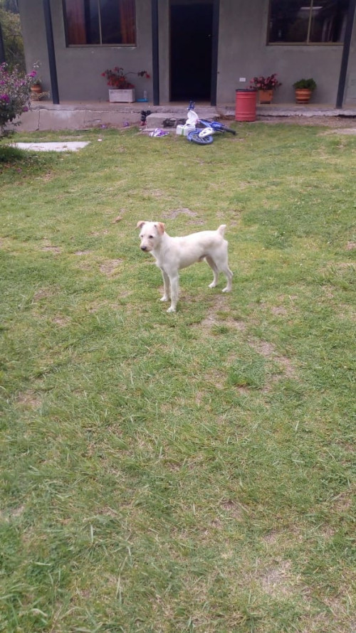 Loky
