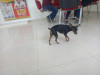 Foto de Samy en Villavicencio Meta #3