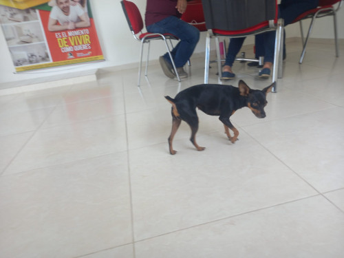 Samy