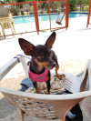 Foto de Samy en Villavicencio Meta #2