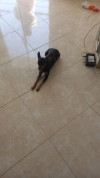 Foto de Samy en Villavicencio Meta #1