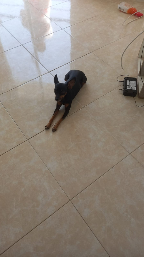 Samy