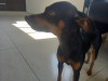 Foto de Samy en Villavicencio Meta #0