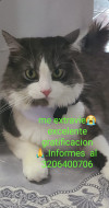 Foto de Niño en Villamaría Caldas #2