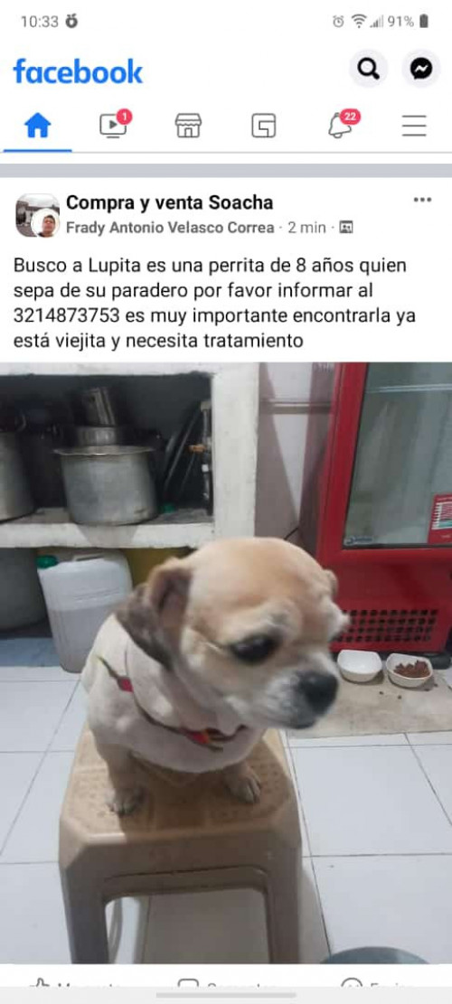 Lupita