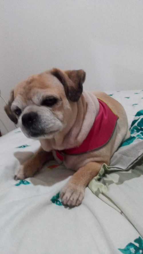 Lupita