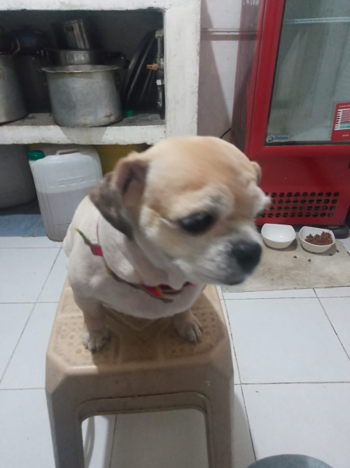 Lupita