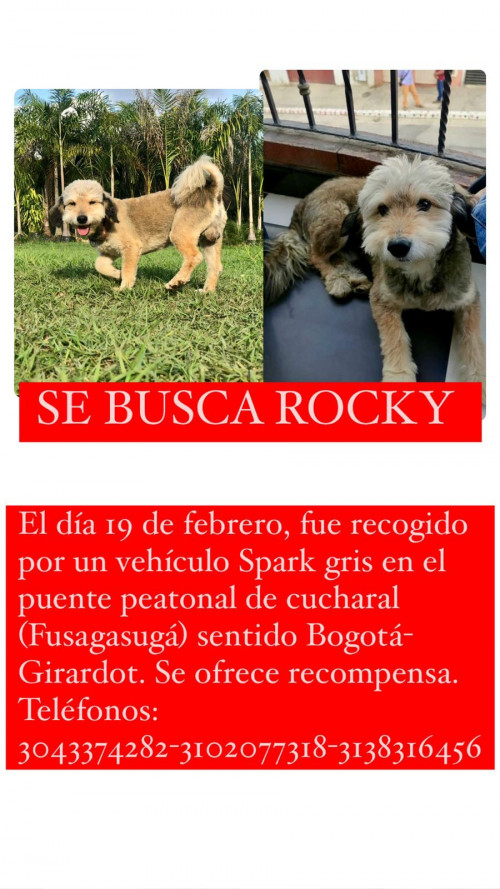 Rocky