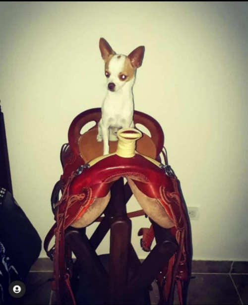 Manolo