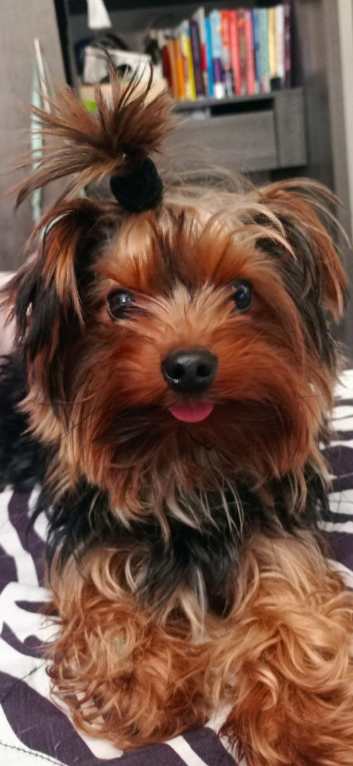 Benjamin