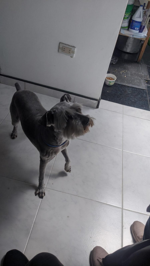 Max