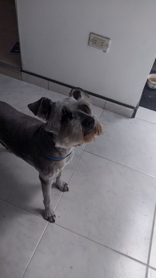 Max