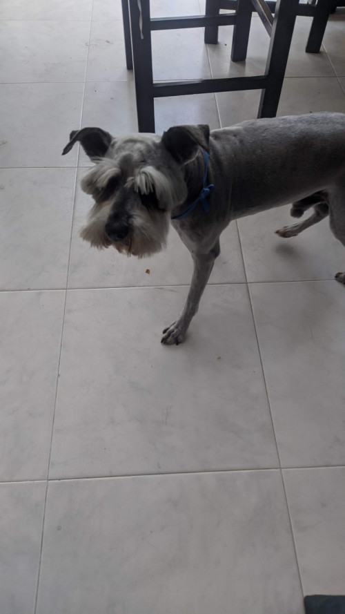Max