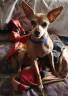 Foto de Fly en Medellín Antioquia #1