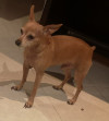 Foto de Fly en Medellín Antioquia #0