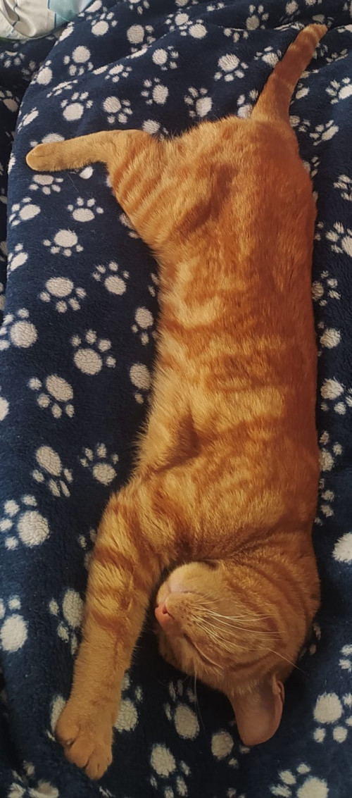 Kira