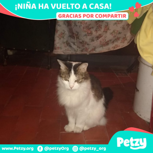 Foto de mascota Niña